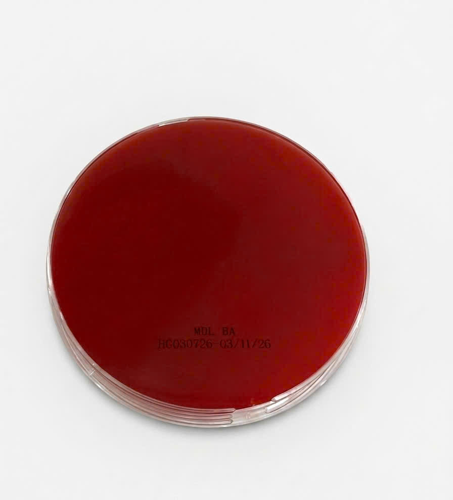 mdlasia.vn